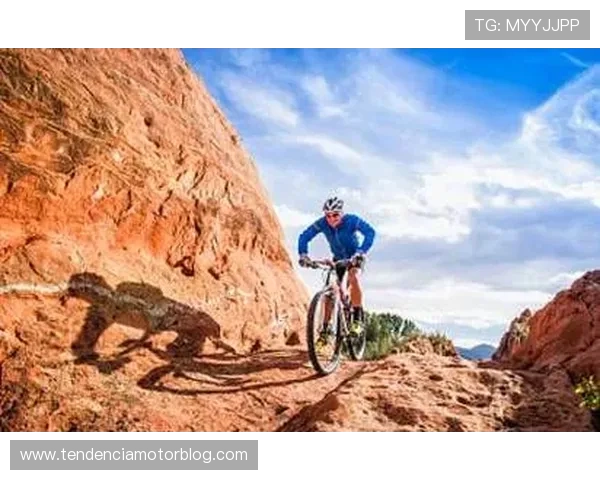 八戒体育在体育赛事直播领域实现技术突破引发行业关注