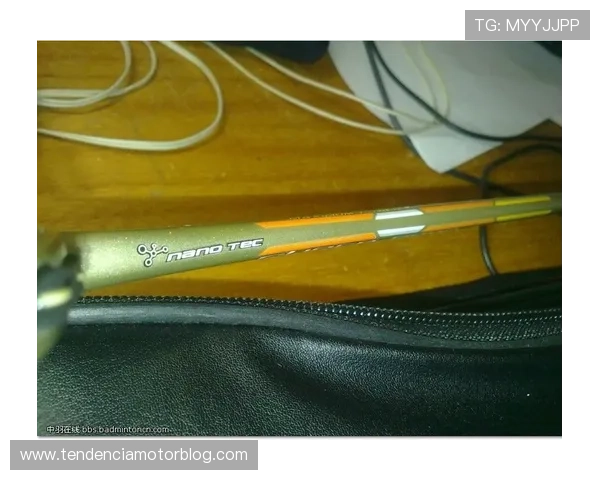 尊龙体育赛程最新安排及详细时间表全面解析助你掌握赛事动态