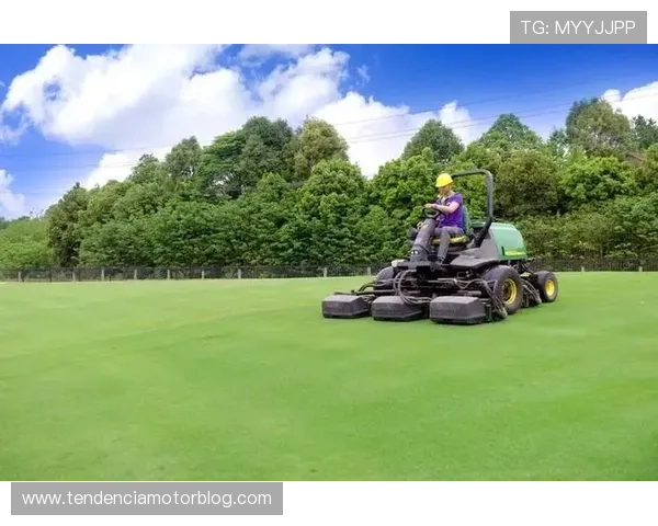 探索bob官网体育的丰富赛事内容与专业分析指南